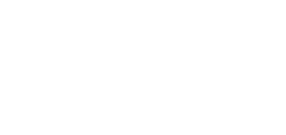 Setting The Stage